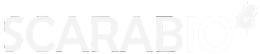 Scarbio | Powerful SEO Platform
